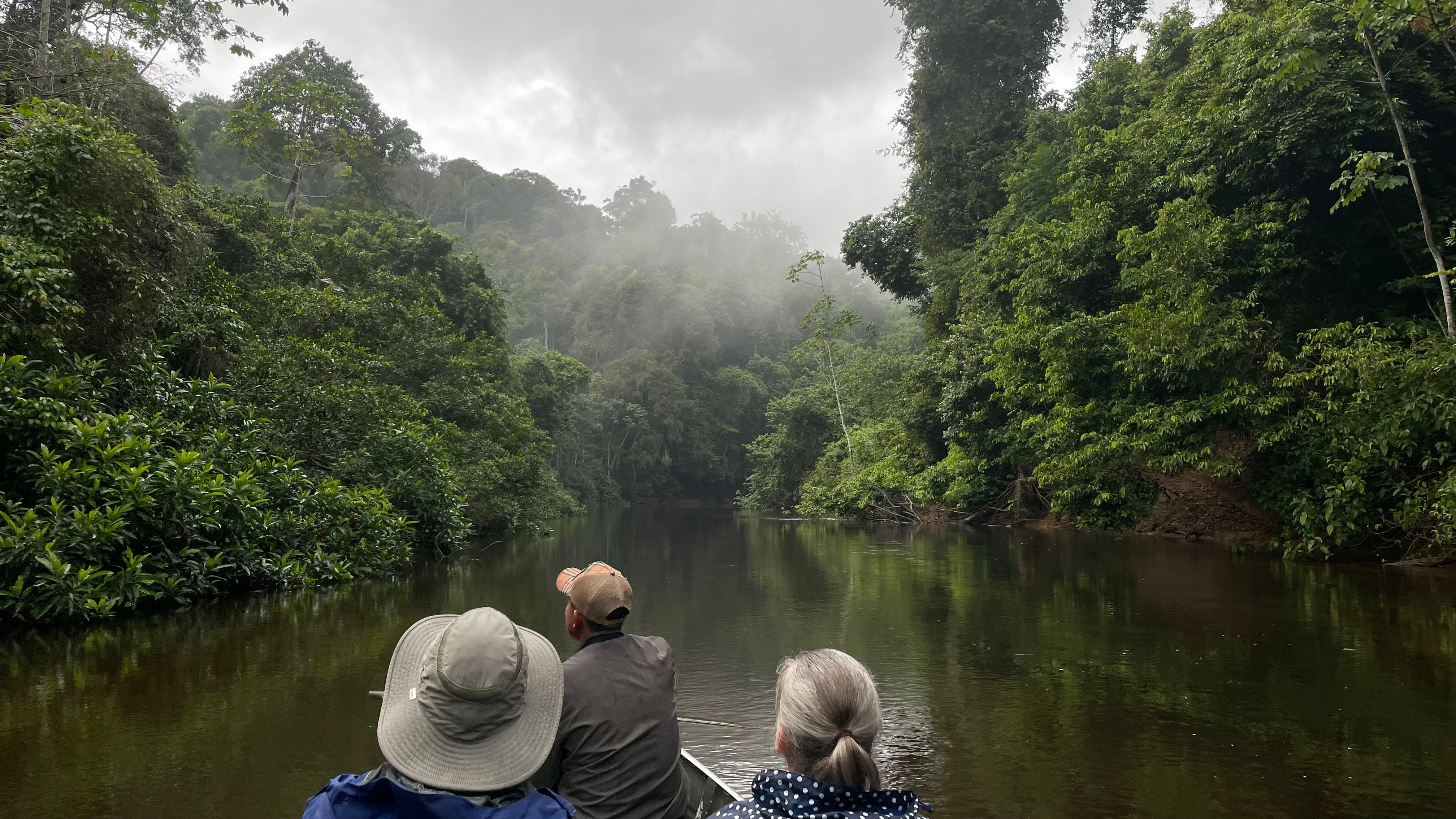 Three tourists in boat viewing misty rainforest river in Guyana wilderness