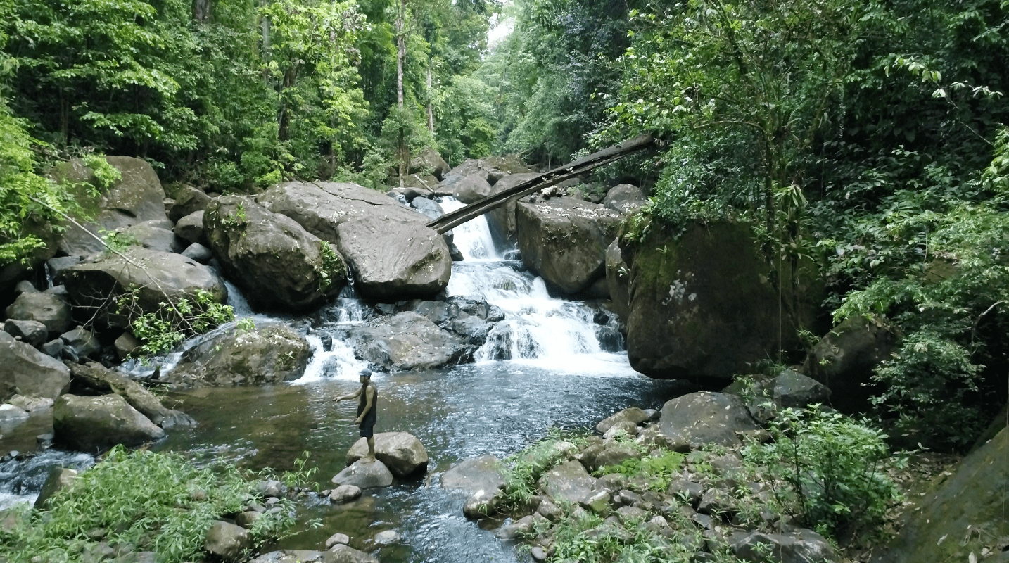 Person standing in natural pool below Mapari waterfall cascading over large rocks in dense rainforest