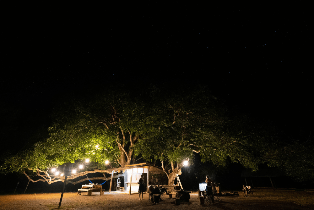 Night scene of illuminated wilderness camp with RV and people gathered under large trees in Guyana