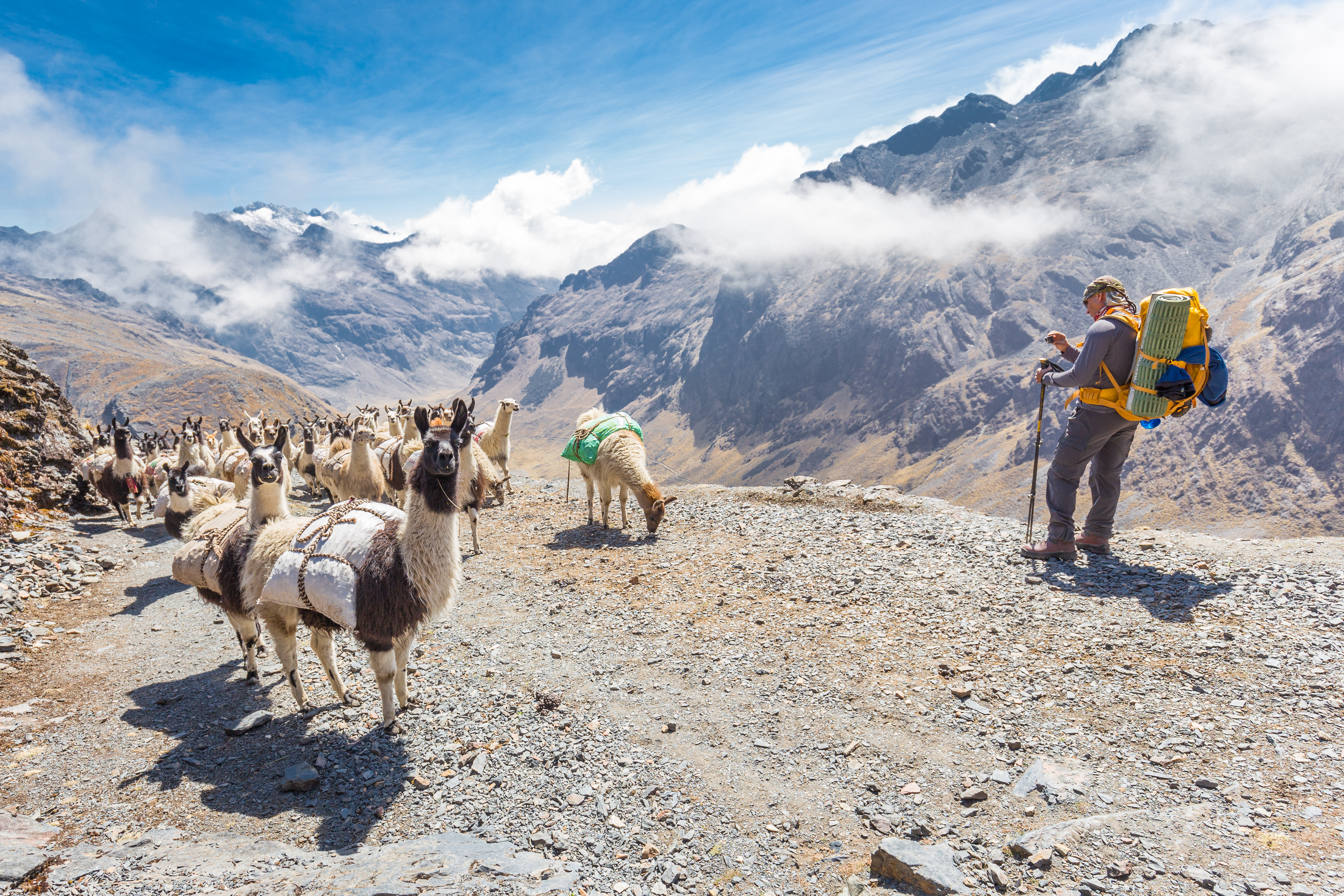 A line of pack llamas loaded with bundles crosses a rocky Andean trail on the El Choro trek in Bolivia, a hiker photographing them behind