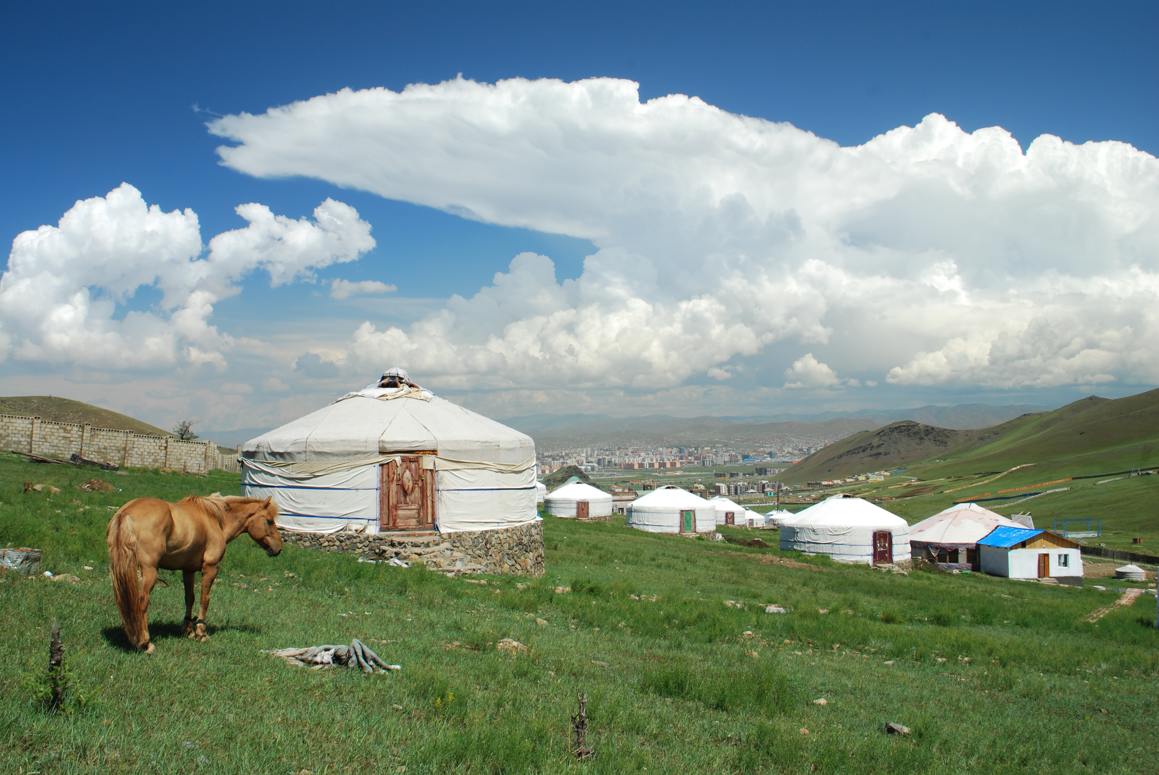 A horse grazes beside a traditional ger on a grassy hillside, with a row of gers and the city of Ulaanbaatar visible in the valley below
