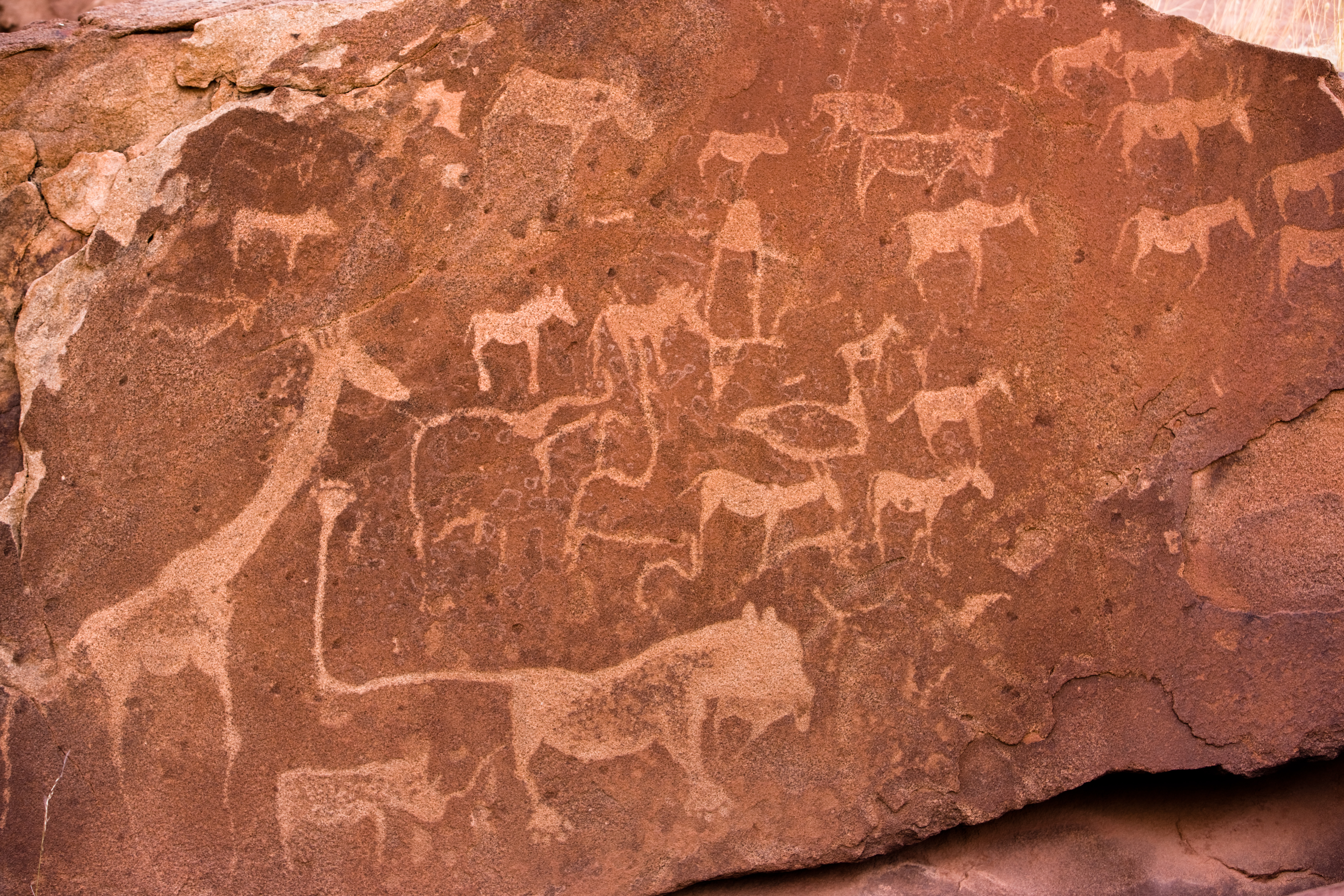 Rock engravings of giraffe, lion, and antelope figures carved into reddish sandstone at Twyfelfontein, Namibia