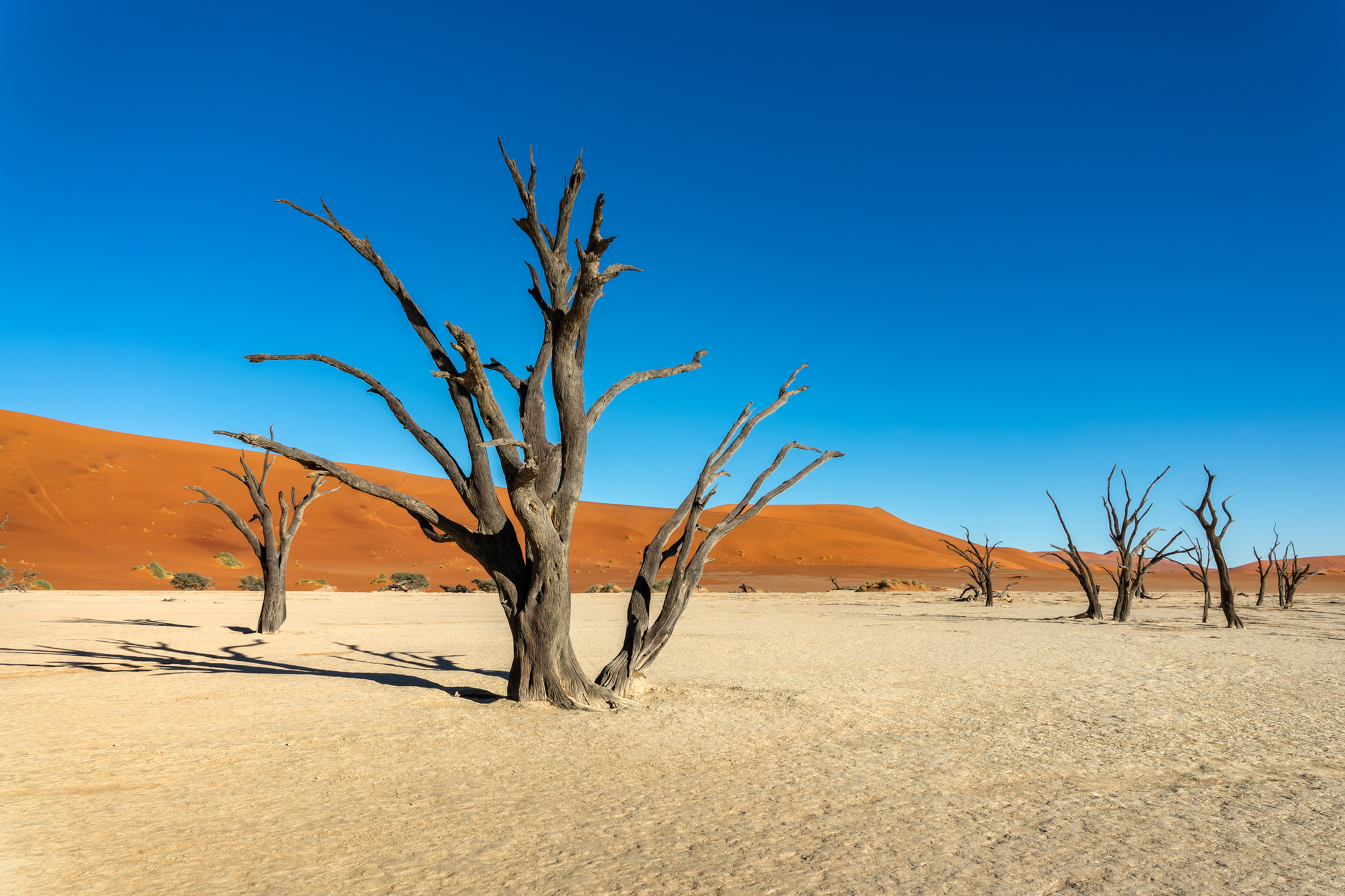Sossusvlei in Namibia