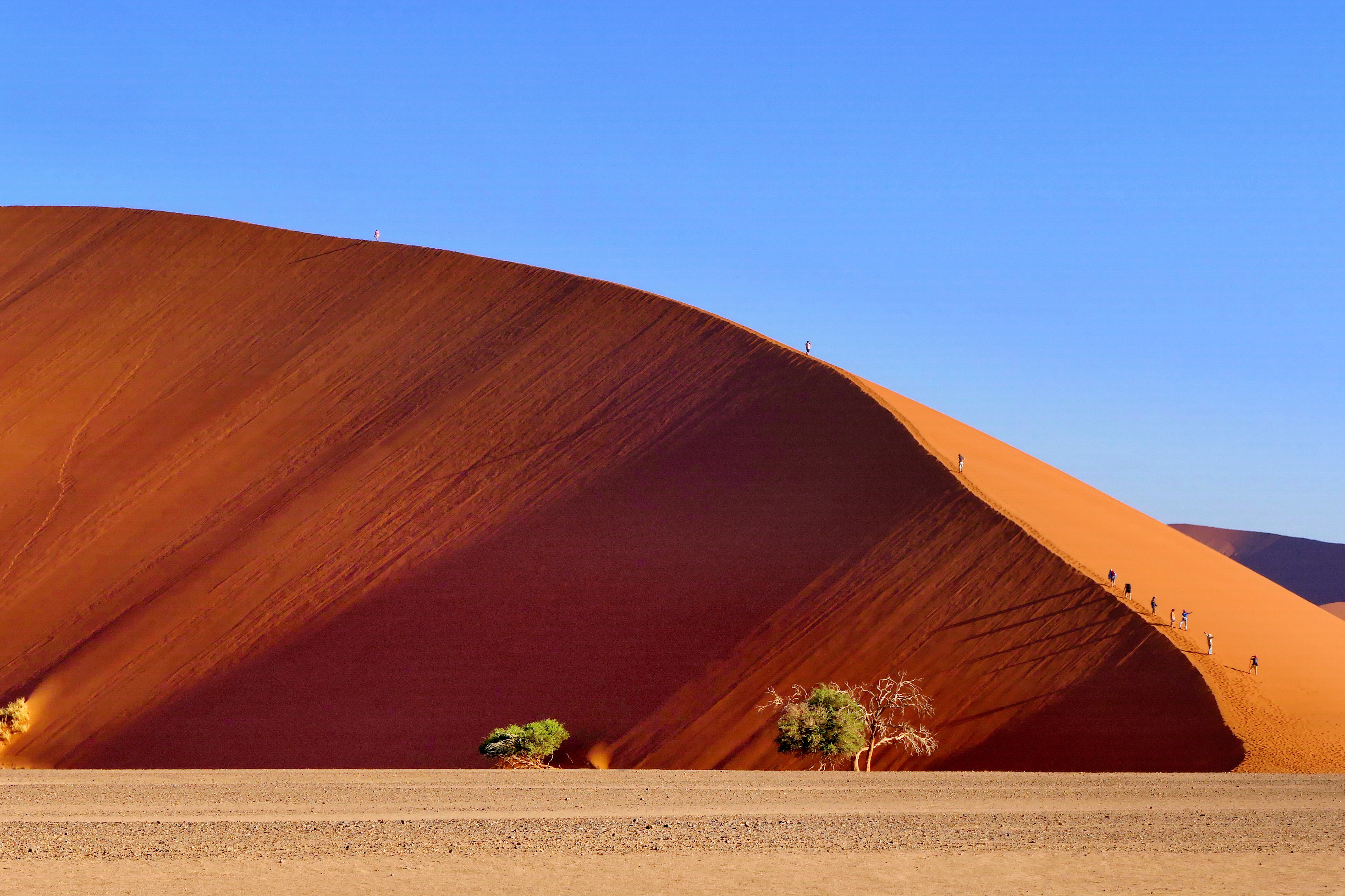 Steep red sand ridge of Dune 45 in Sossusvlei, Namibia, with small figures climbing its crest above the dry pan floor