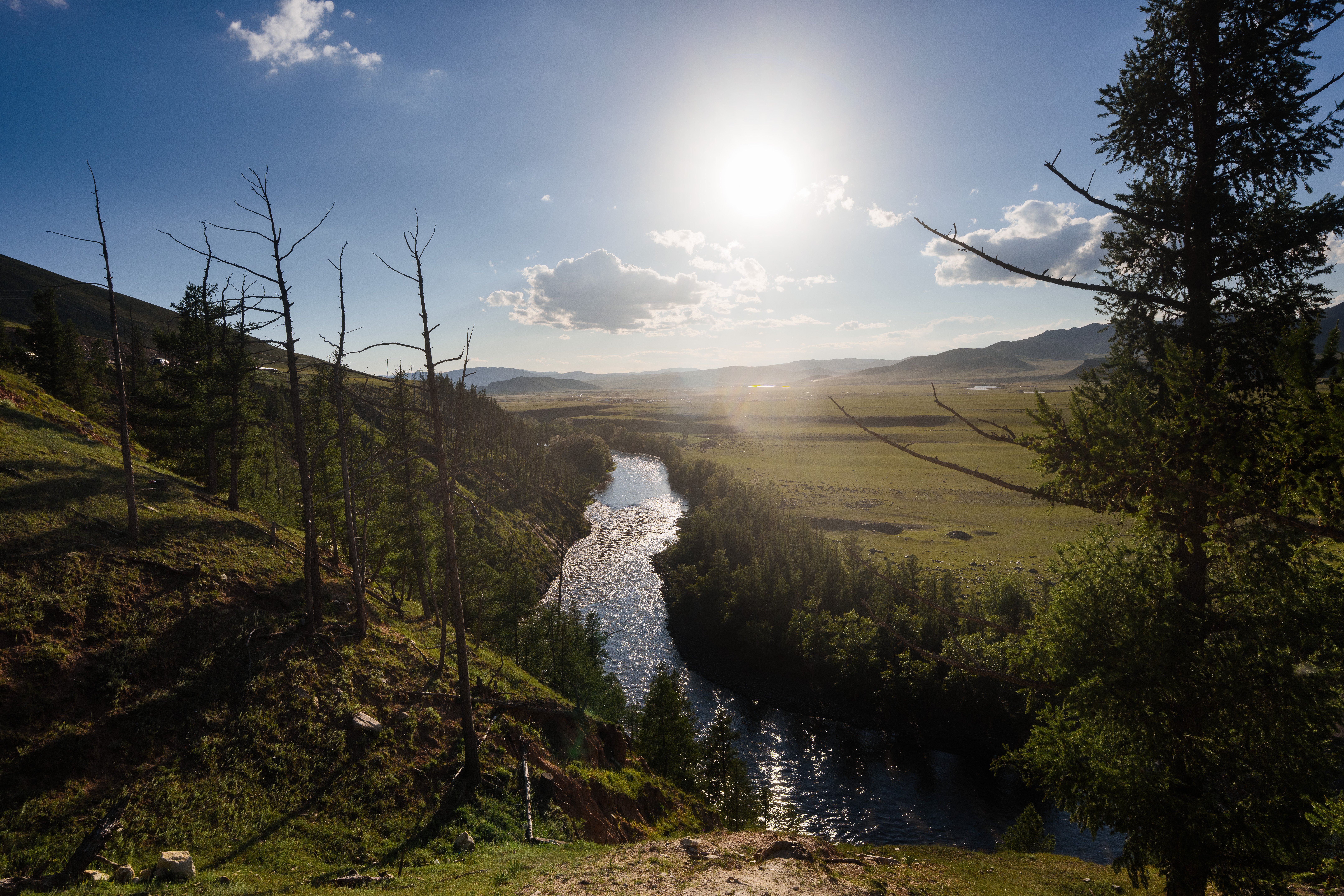 A river bends through a green valley in the Orkhon Valley, central Mongolia, with forested slopes and open grassland under bright sun