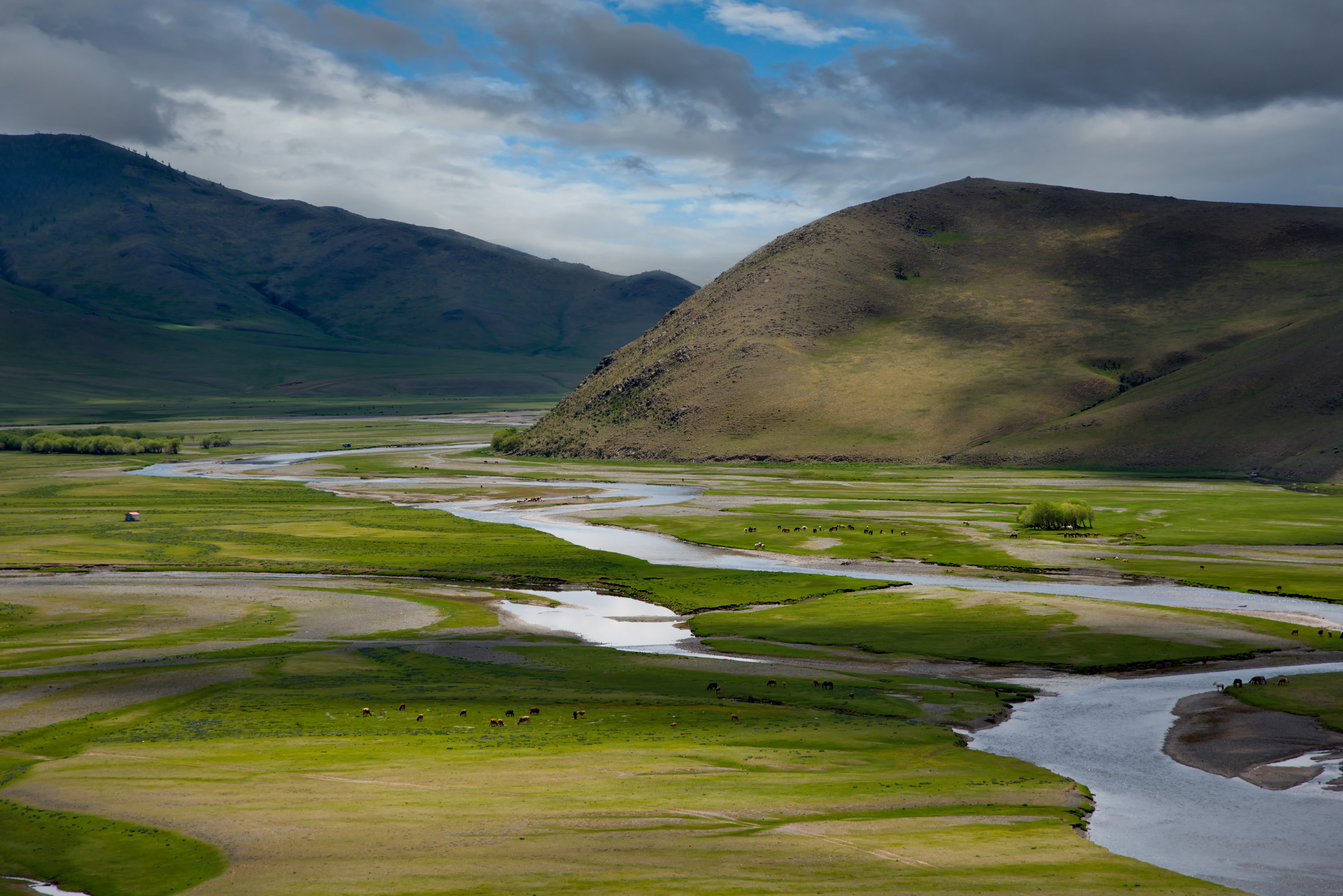 The Orkhon river winds through a green valley near Kharkhorin, Mongolia, with grazing livestock and hills under a cloudy sky