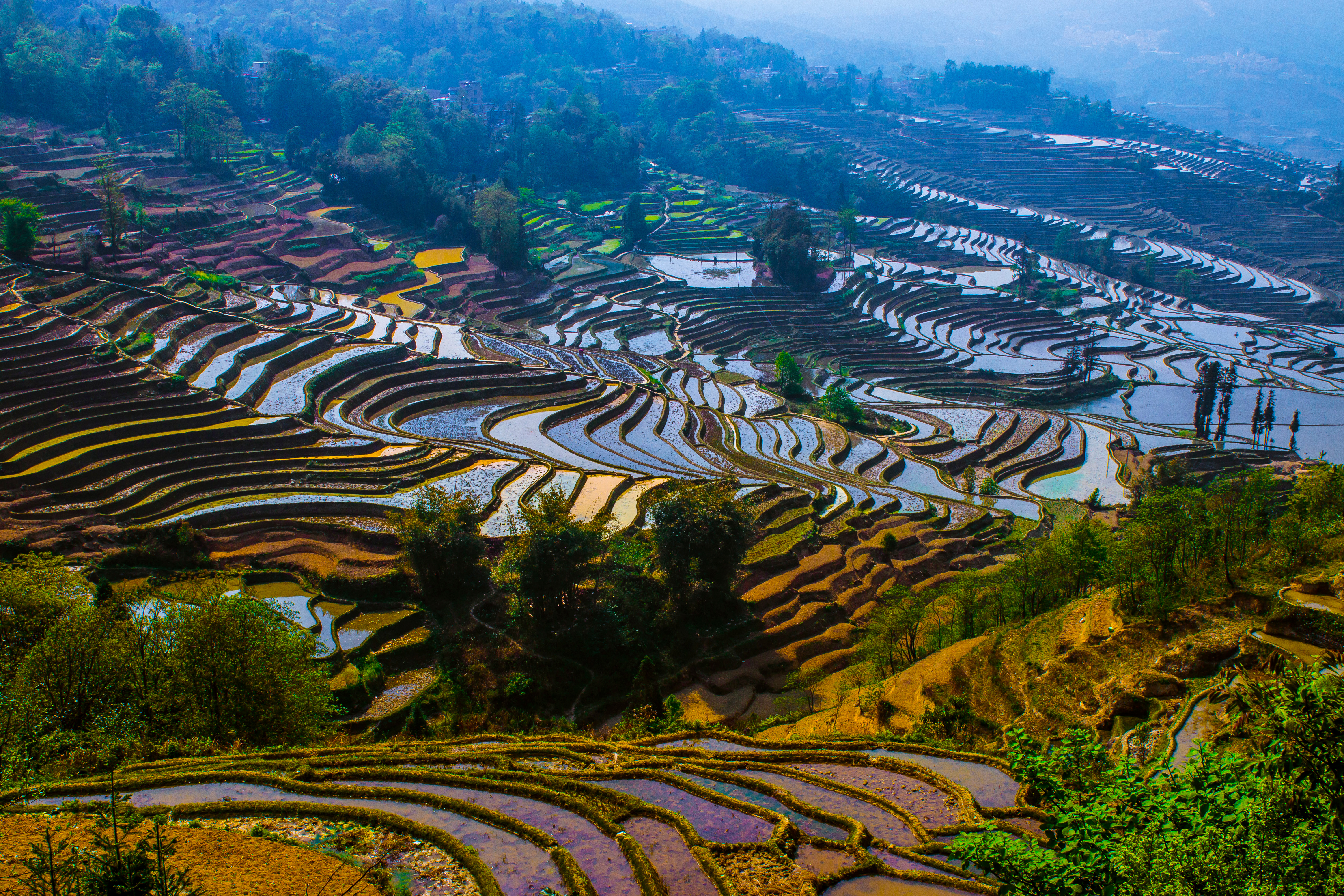 Flooded rice terraces curve across hillsides in layered tiers, reflecting pale sky and mist near Yuanyang, Yunnan