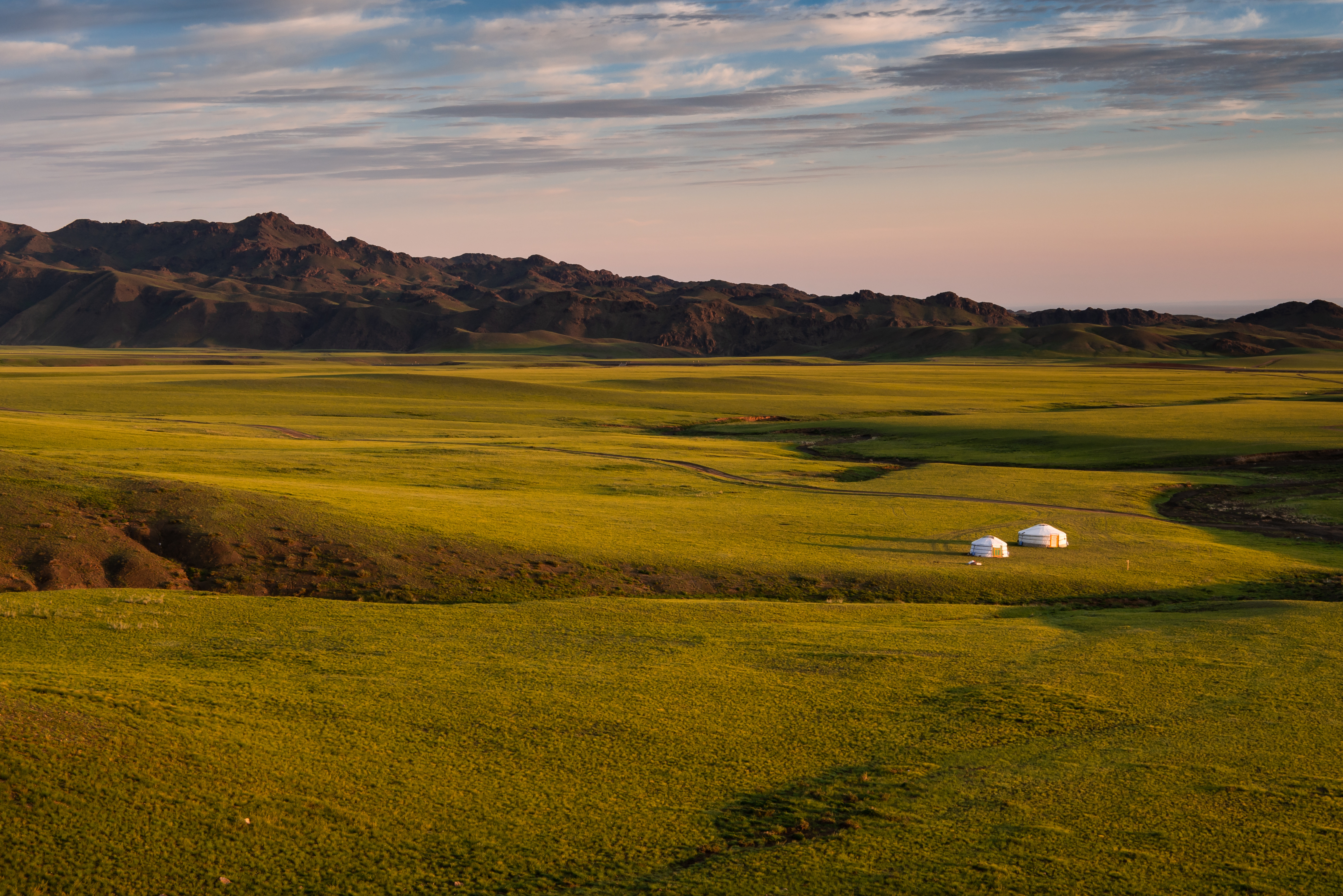 Two white gers stand in a wide green steppe valley at sunrise, with a dark mountain range along the horizon, Mongolia