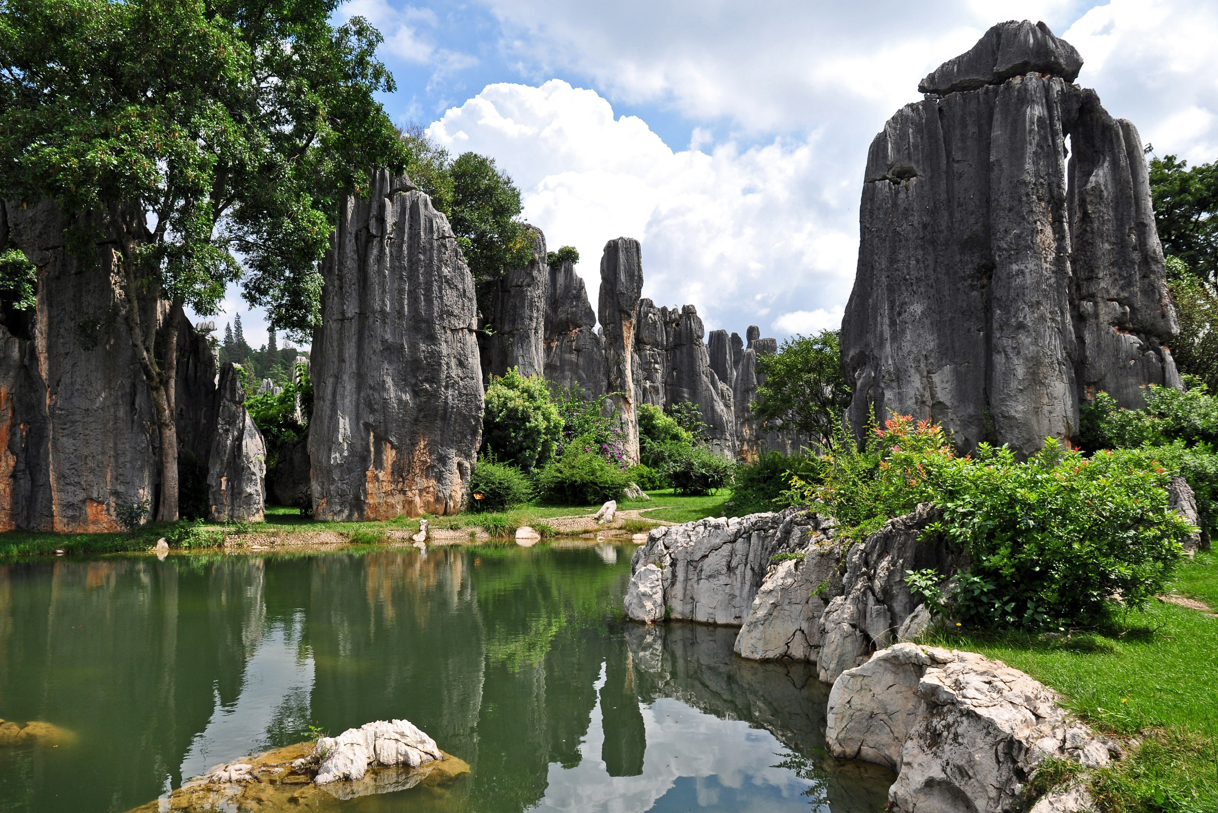 Grey limestone pillars of the Shilin Stone Forest rise above a still green pool ringed by grass and trees, Yunnan