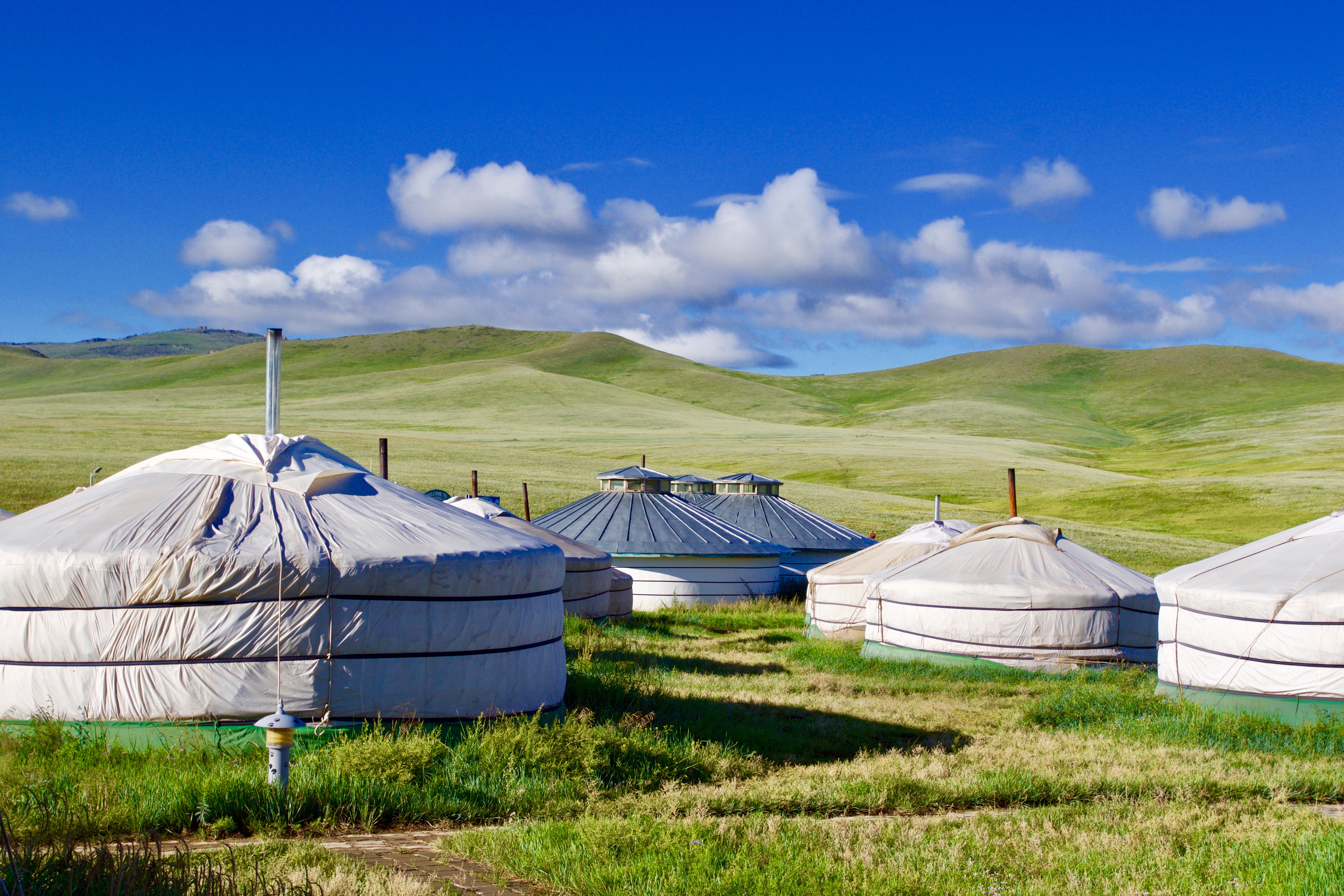 Cluster of white felt gers in a ger camp set among green rolling hills near Hustai National Park, Mongolia, under a blue sky with scattered clouds