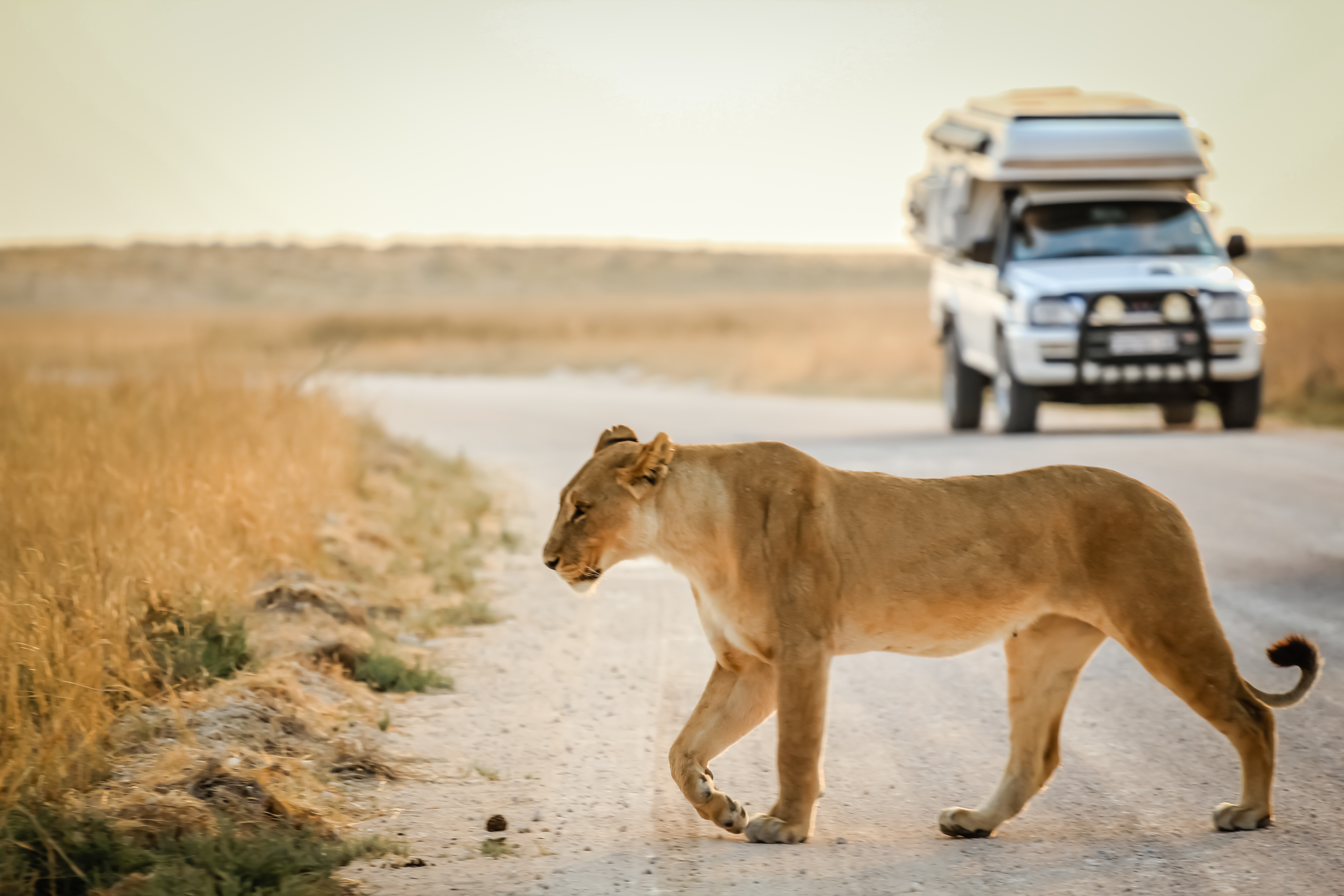 Namibia Grand Tour: Self-Drive Safari in Namibia