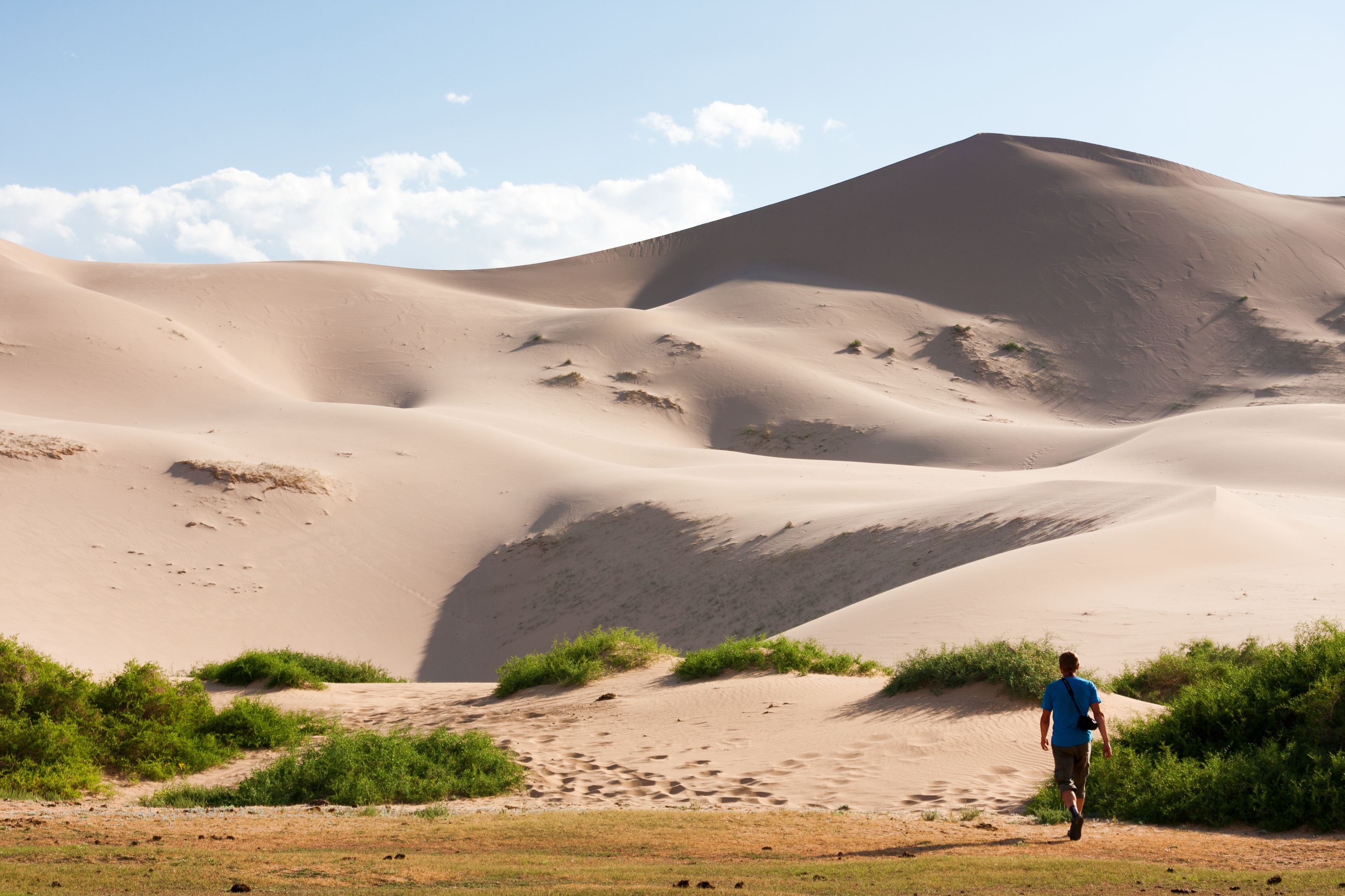 A lone hiker approaches towering sand dunes with green scrub in the foreground at Khongoryn Els in the Gobi Desert, Mongolia