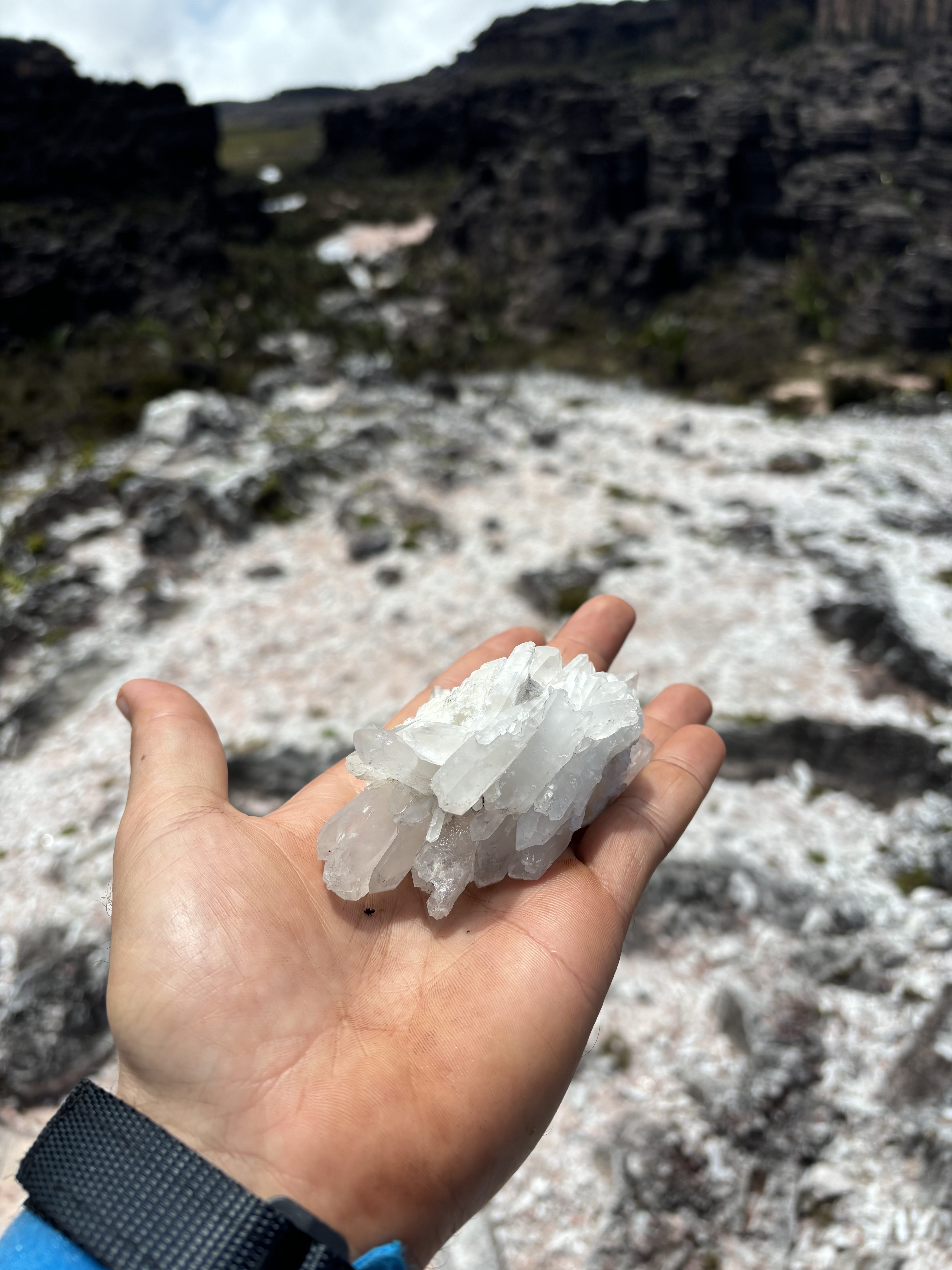 A cluster of clear quartz crystals held in an open palm, with the pale, pitted ground of the Valley of Crystals visible behind.