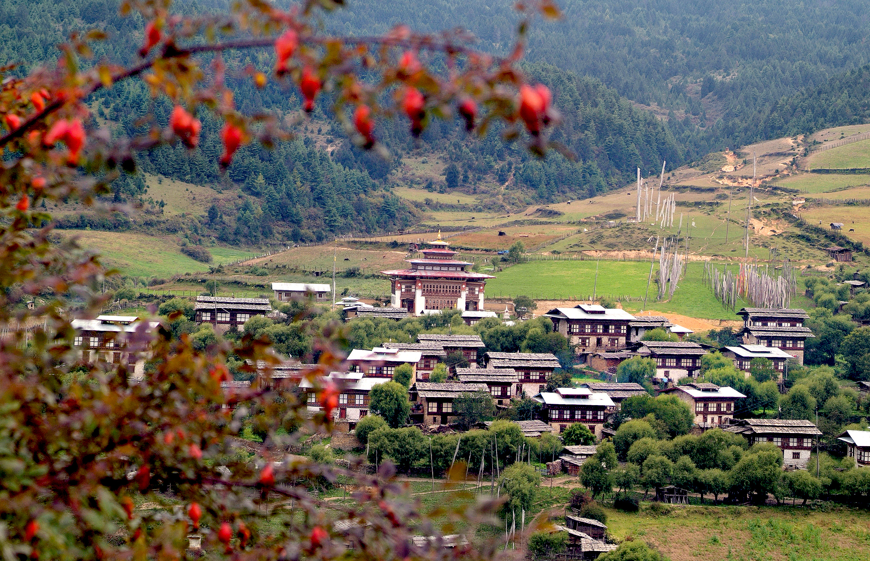 Bhutan, Bumthang, Ura, 2700-1