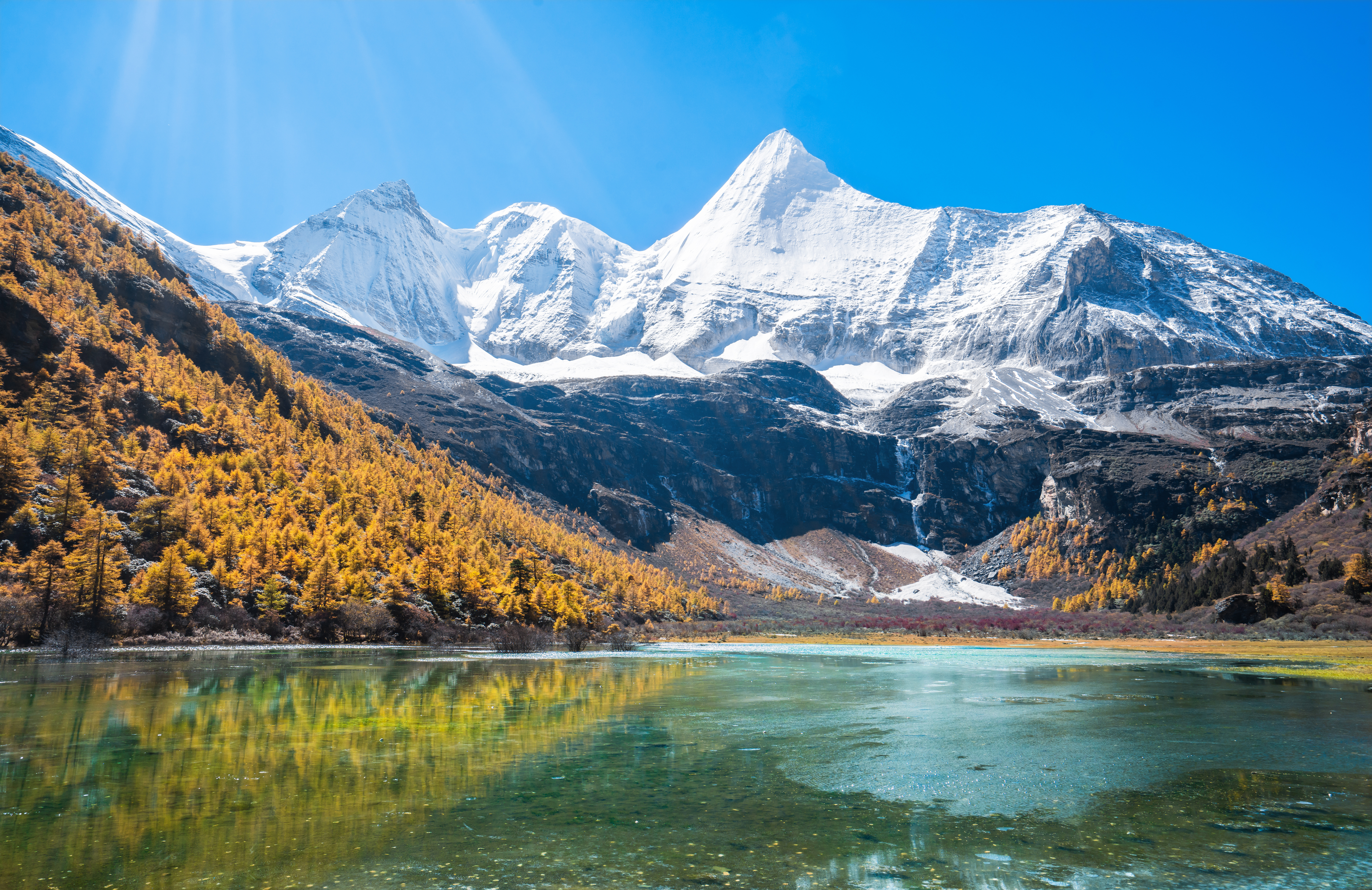 Snow-capped peak above a golden larch forest, reflected in a turquoise lake at Yading nature reserve, Daocheng, Sichuan