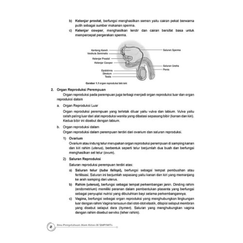 Kali ini kami akan membagikan soal dan jawaban tentang bioteknologi pelajaran ipa uji kompetensi 7 kelas 9 halaman 90. Soal Dan Jawaban Bioteknologi Kelas 9 Jawabanku Id