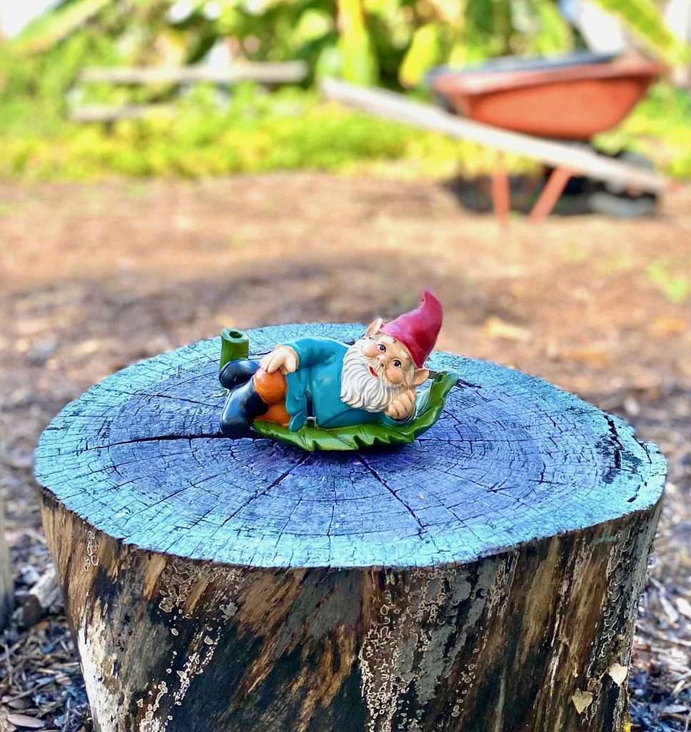 Home Explore Ecology - Ocean Background Collection - Ultra HD Quality