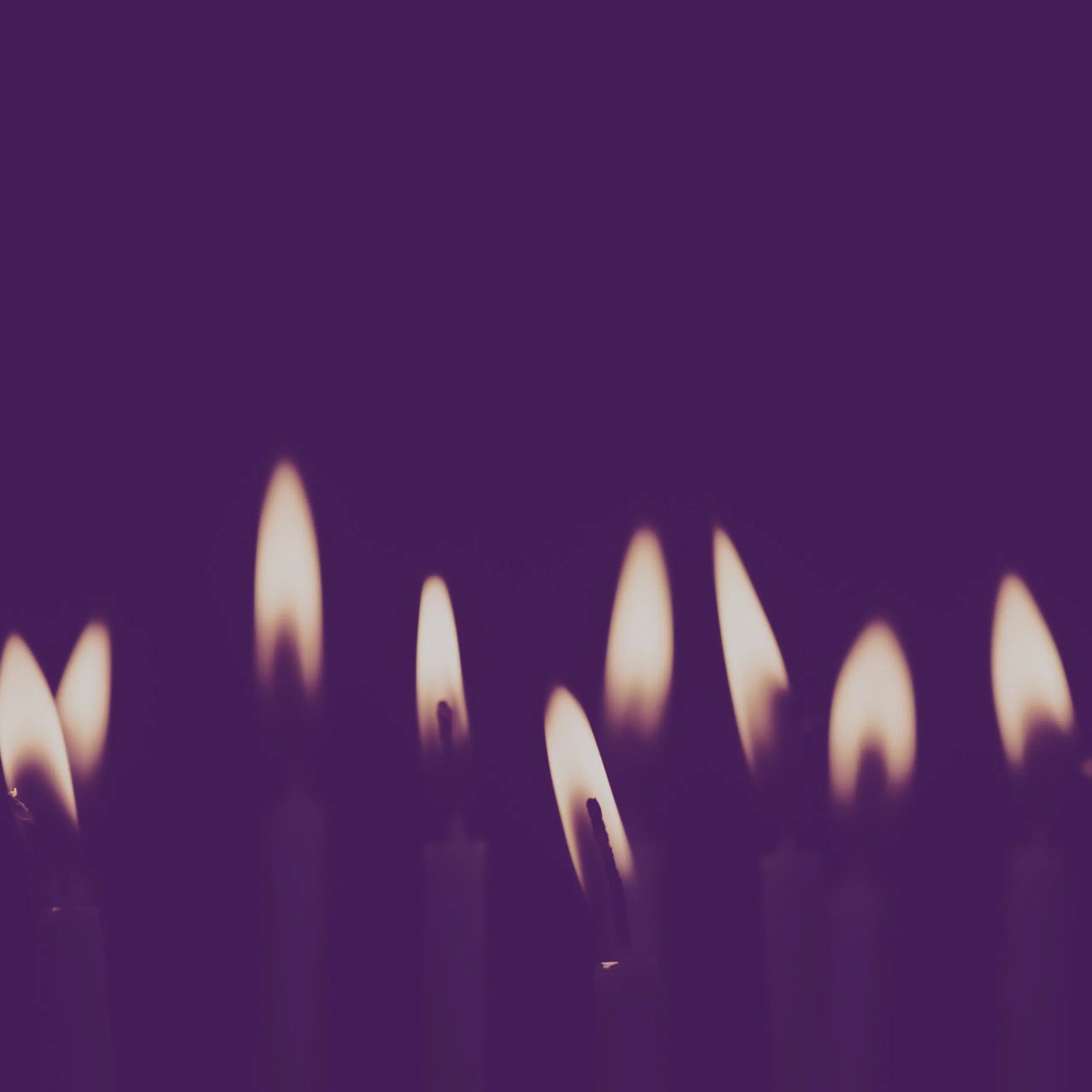 In Remembrance Mham - Best Colorful Photos in 4K