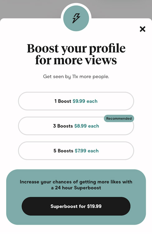 Bumble beeline is the way users can see exactly who likes their profile. Hinge Boost Tinder Gold Bumble Boost Coffee Meets Bagel Premium