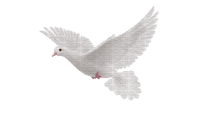 Belajar bijak dari pepatah tiongkok kuno. Berbagi Artikel |Kisah Populer| My sharing sites