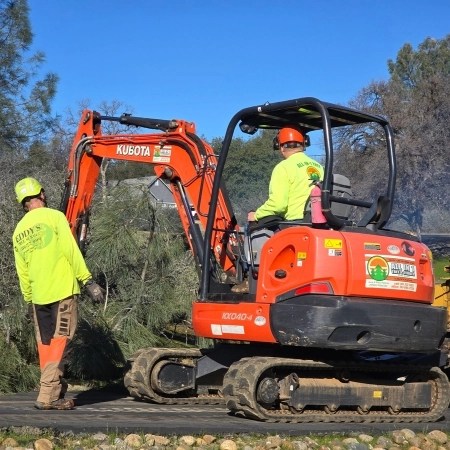 Small excavator removing a tree during an excavation service by Eddy’s Tree Service