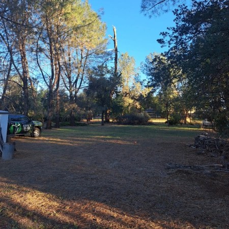 Freshly cleared land with Eddy’s Tree Service truck in the background