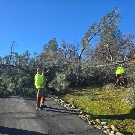 On the job along a local walking trail—making community spaces safe and accessible after a tree fall.