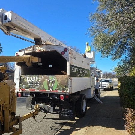 Our wood chipper in action—turning debris into mulch and leaving your yard spotless.