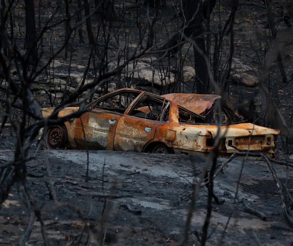 wildfire preparation Shasta County