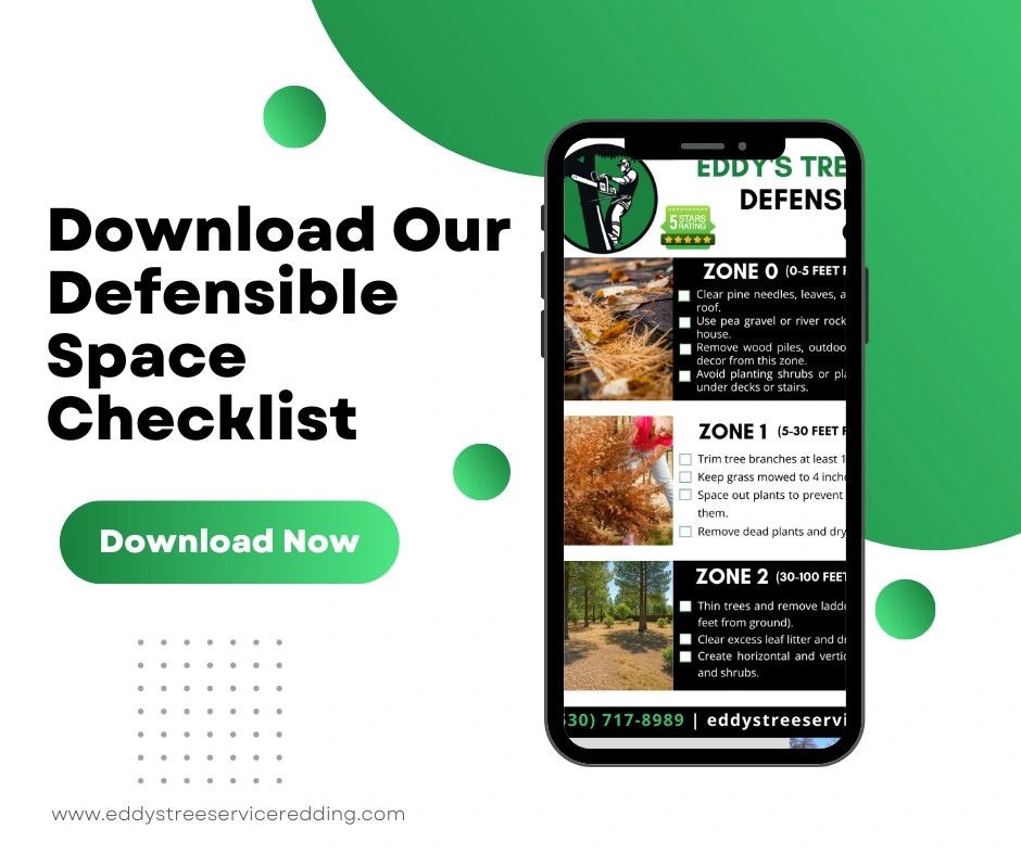 Defensible space in Redding, CA Free Checklist