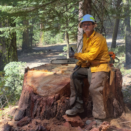 Forestry worker in a yellow protective shirt and helmet sits on a freshly cut tree stump in a forest, holding a chainsaw.