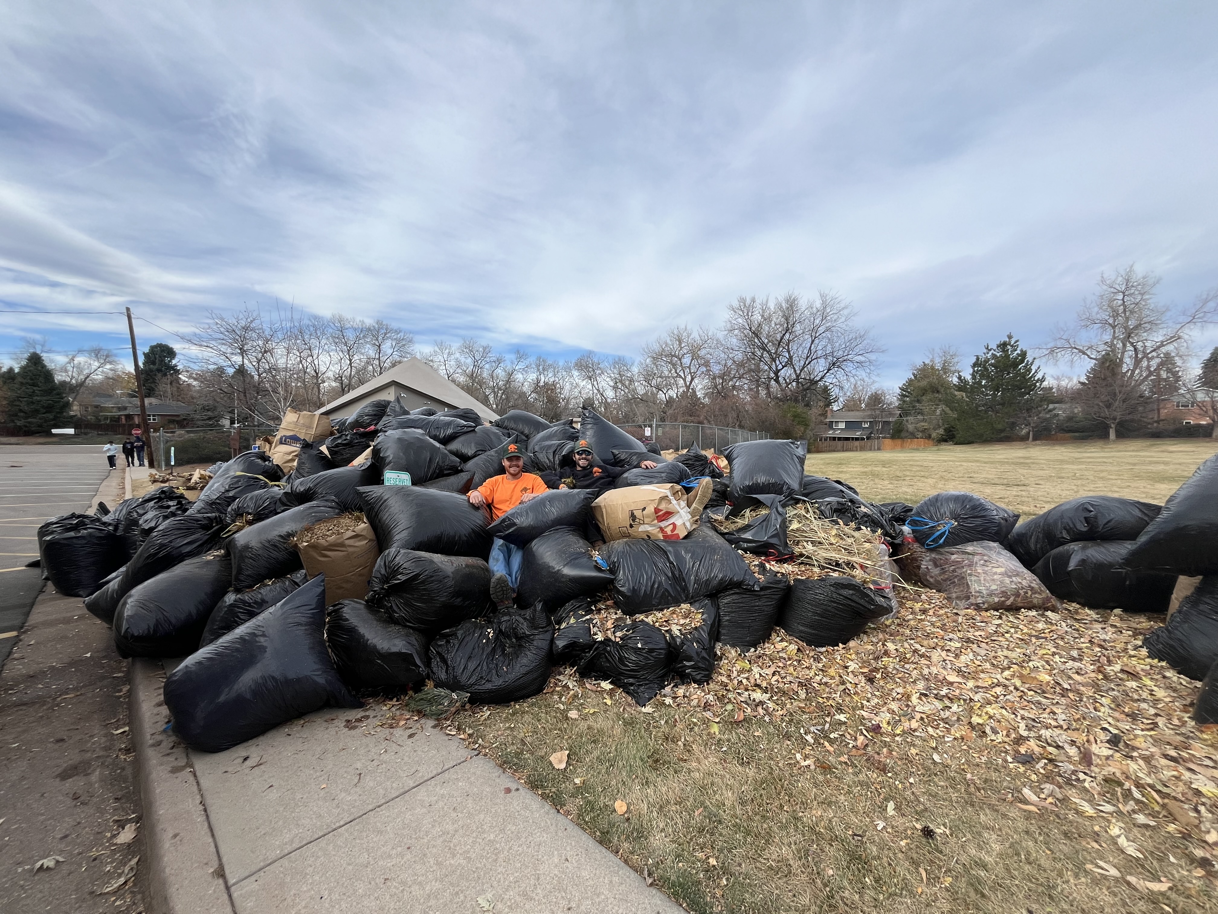 leaf-pickup3