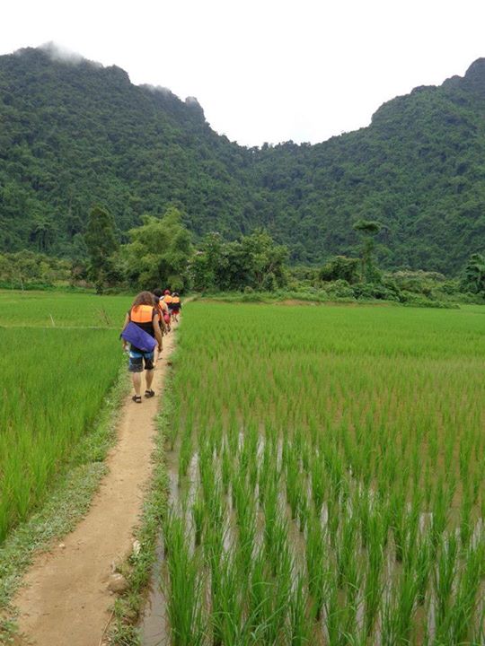 Walking through the Rice Fields in Laos
