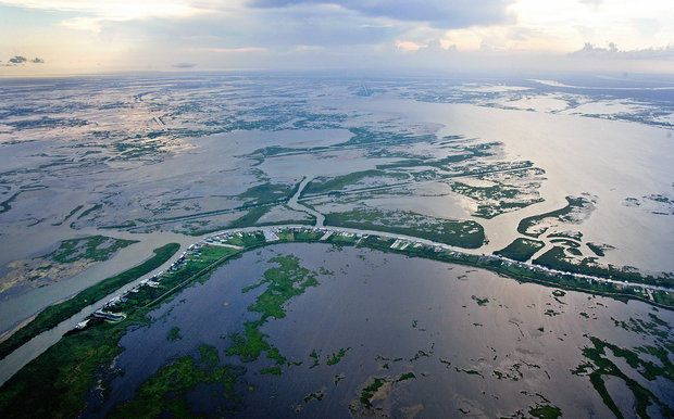 "Stop Calling Me Resilient": Addressing Environmental Degradation in Louisiana