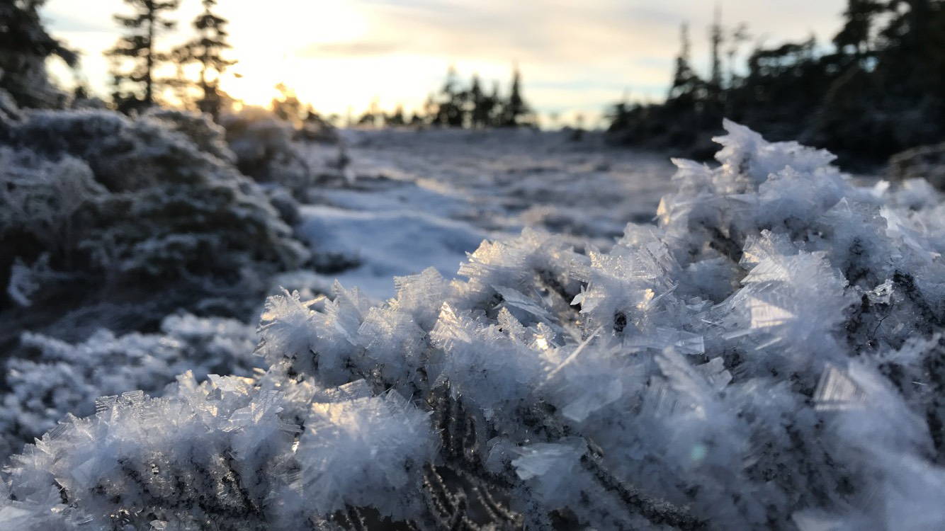 Close up of ice crystals on glacier. Sunset in background.