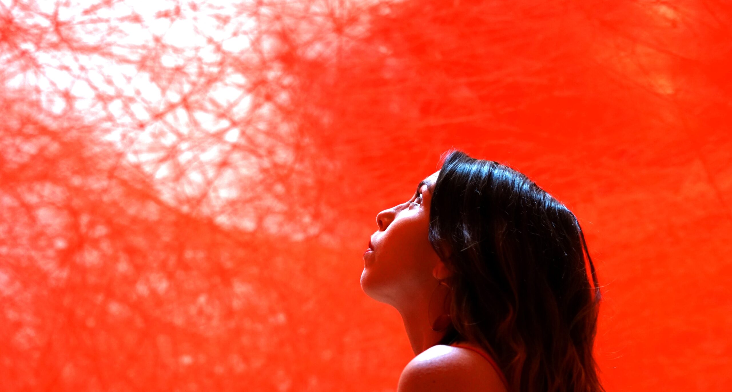 A woman in profile with long dark hair gazes up toward the light