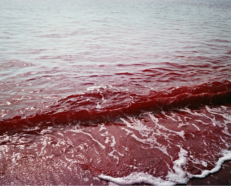 Water lapping up onto a shore. The water is a deep red at the shore.