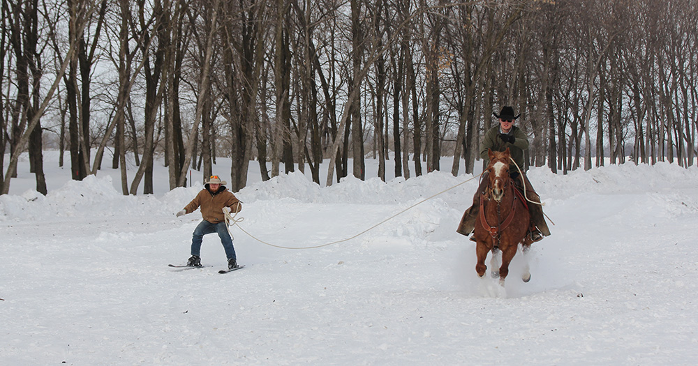 Skijoring: Equestrian Winter Fun