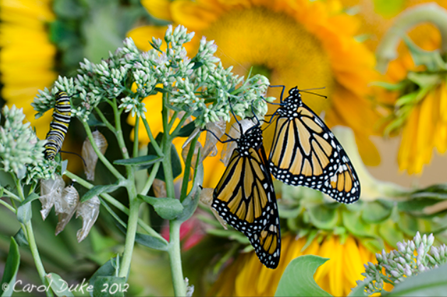 How Information Governance Transforms