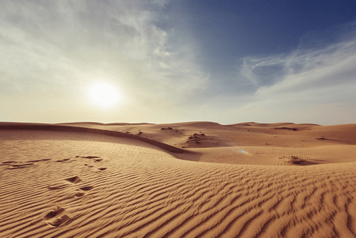 Summer 2023 eDiscovery Business