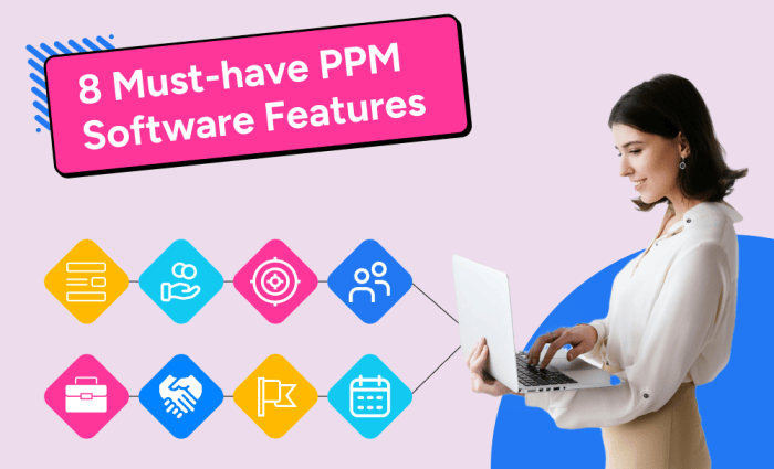 Measuring the impact of PPM software on project performance - Continuum ...