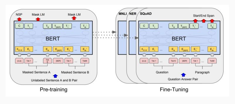 Albert Model For Self Supervised Learning Beginner - Nature Wallpaper Collection - Mobile Quality
