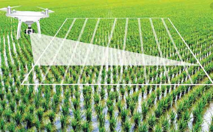 Artificial Intelligence In Agriculture Using Modern Day Ai To Solve - Creative 4K Gradient Patterns | Free Download