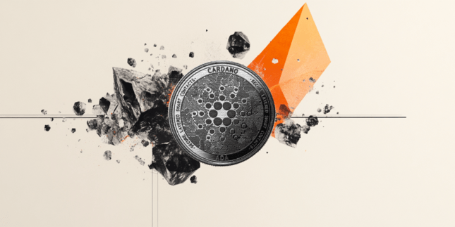 Cardano's Potential Recovery: Whale Accumulation and Upcoming Hard Fork (2026)