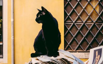 Using Superstitions in Storytelling