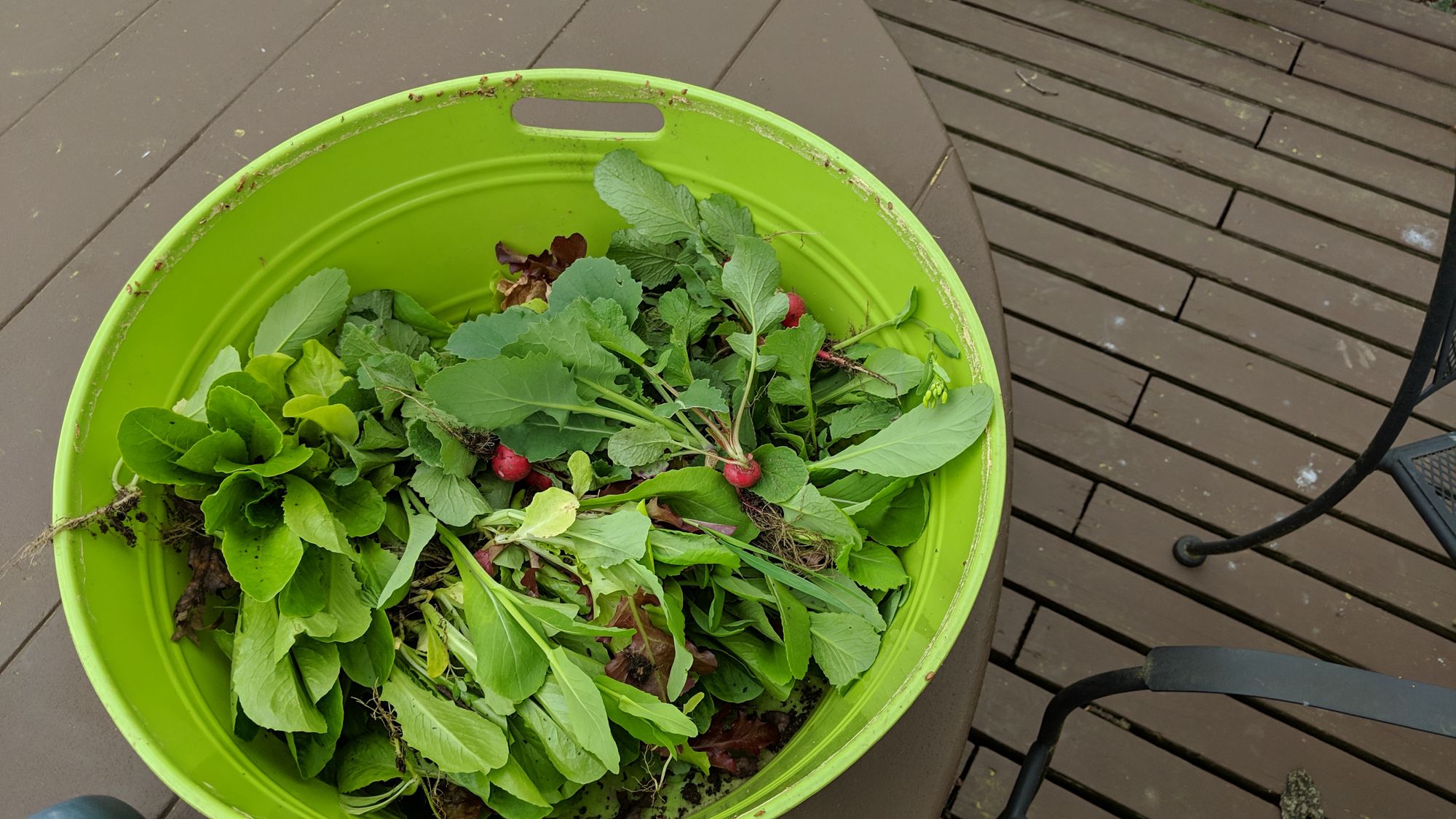 Salada