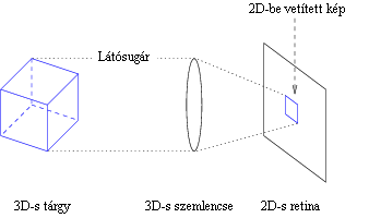 Ábra: hogyan lesz vetítéssel egy 3D-s tárgyból a szemlencsénken révén a retinán lévő 2D-s kép.