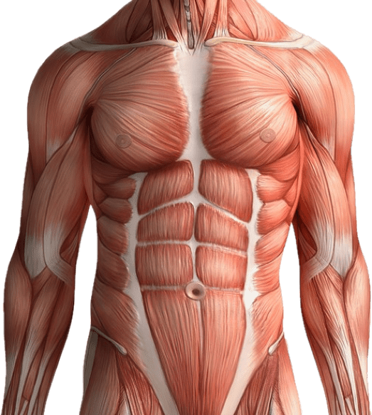 Green Screen & biology teaching