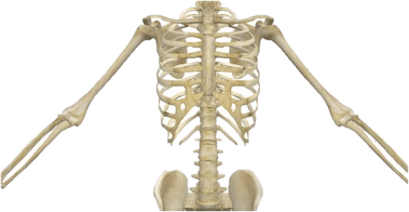 Green Screen & biology teaching