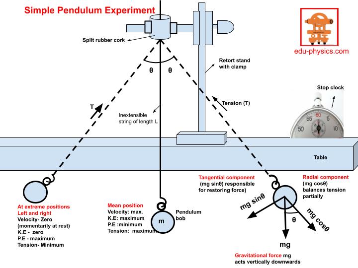 PhysicsAce' – The Ultimate Physics Learning App for CBSE, NEET & JEE
